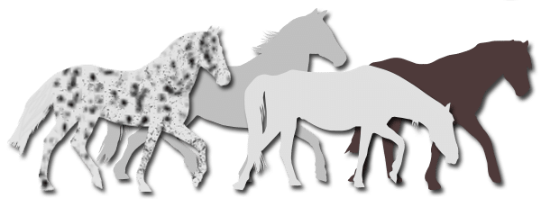 Rursus Equus el proyecto