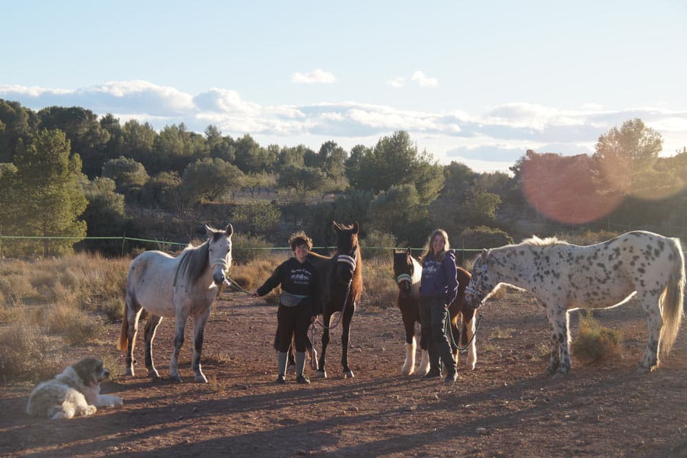 La manada de Rusus Equus en Valencia